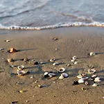 With Pool In 53920 Lägenhet