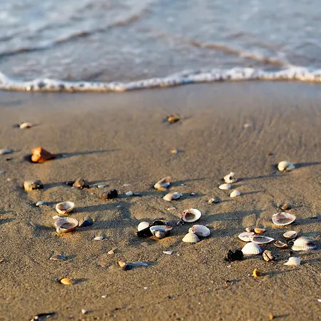 With Pool In 53920 Apartment