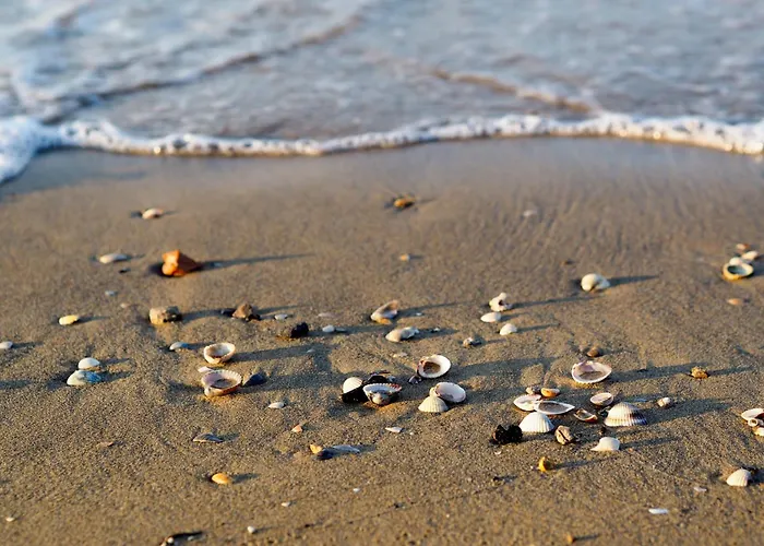 With Pool In 53920 Appartamento